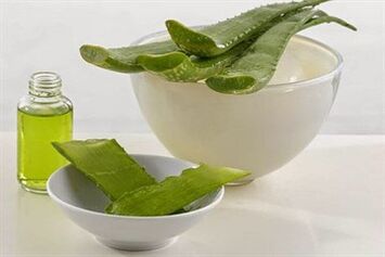 The leaves of the plant help in the treatment of prostatitis
